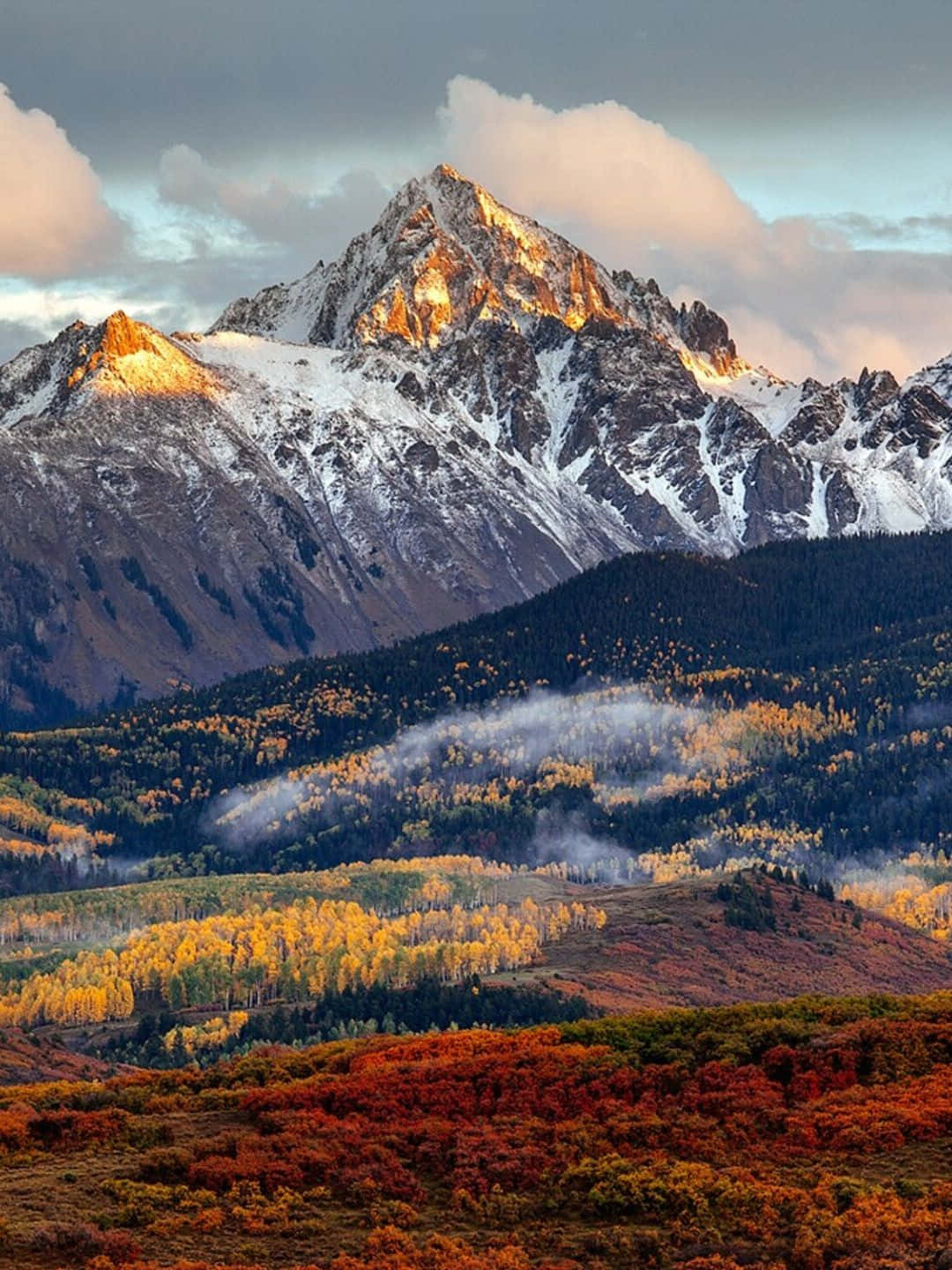 Nature Background