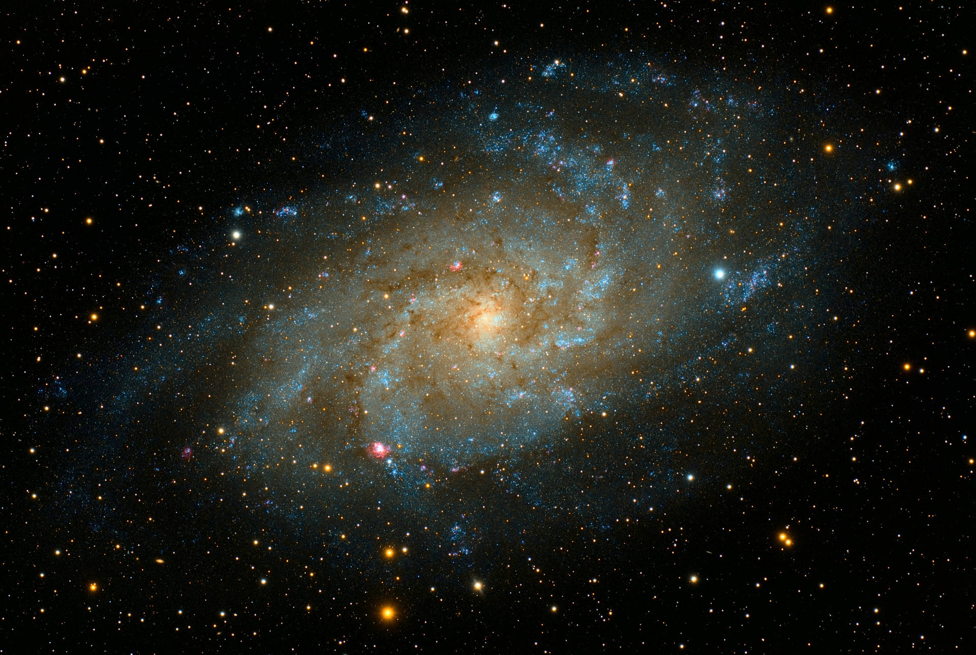 A stunning view of the Andromeda Galaxy Wallpaper