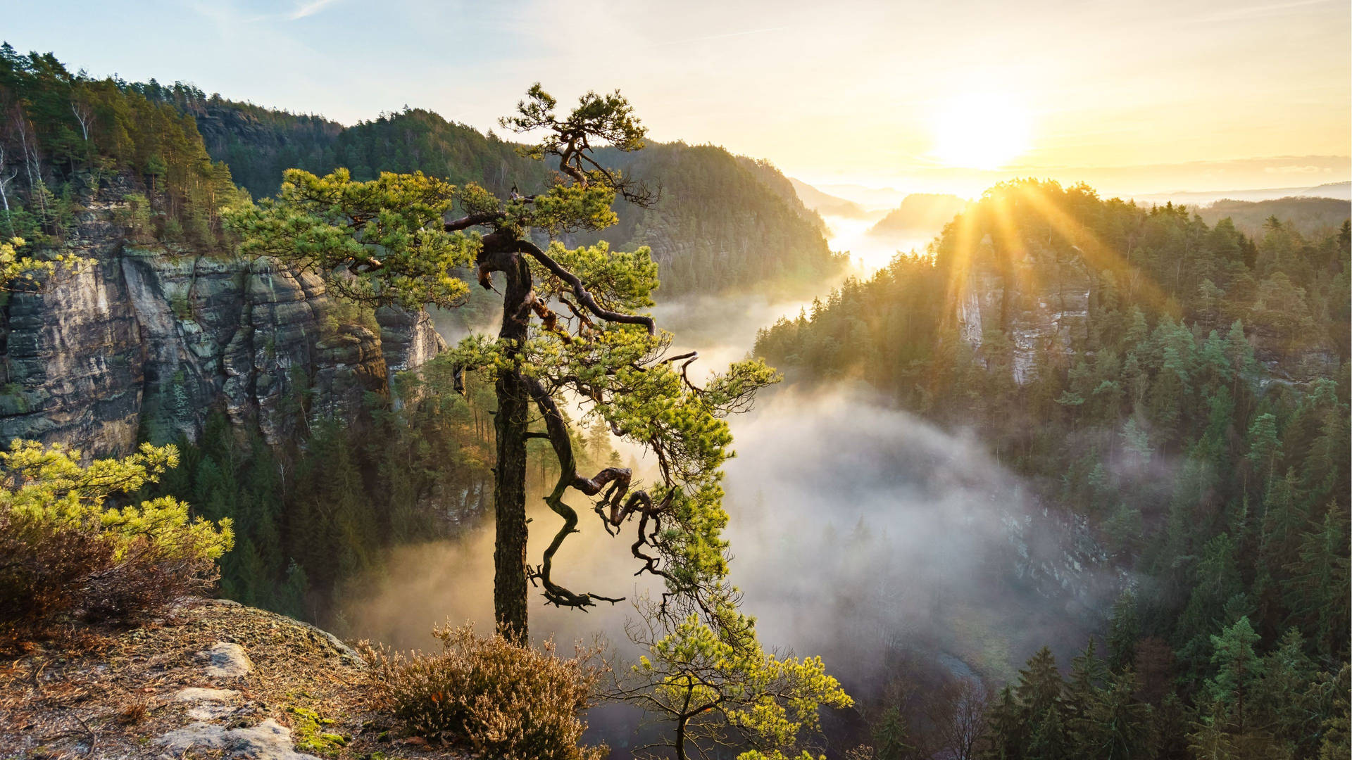 Enjoy the beautiful sunrise over a peaceful, natural landscape Wallpaper