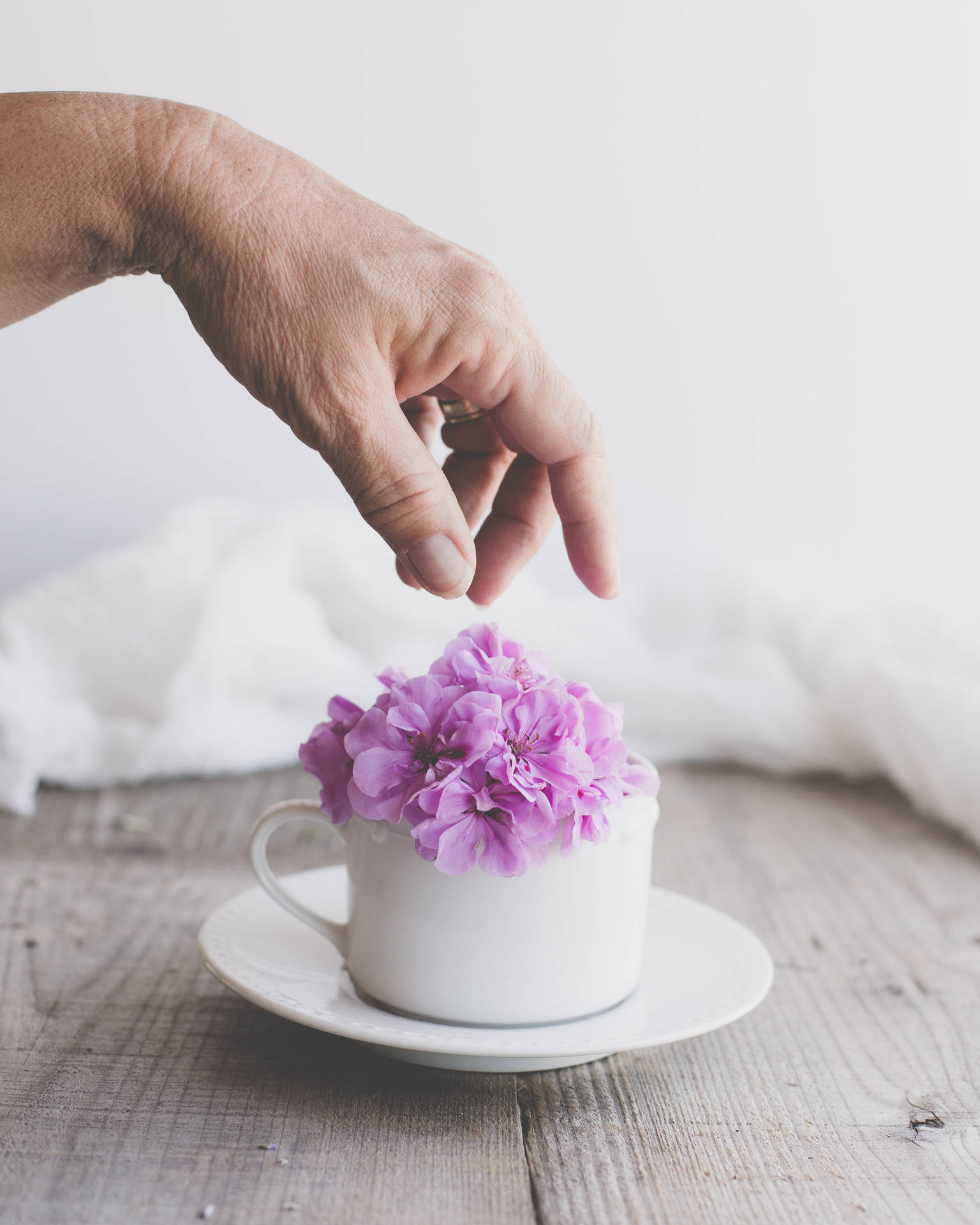 Purple Wallpapers