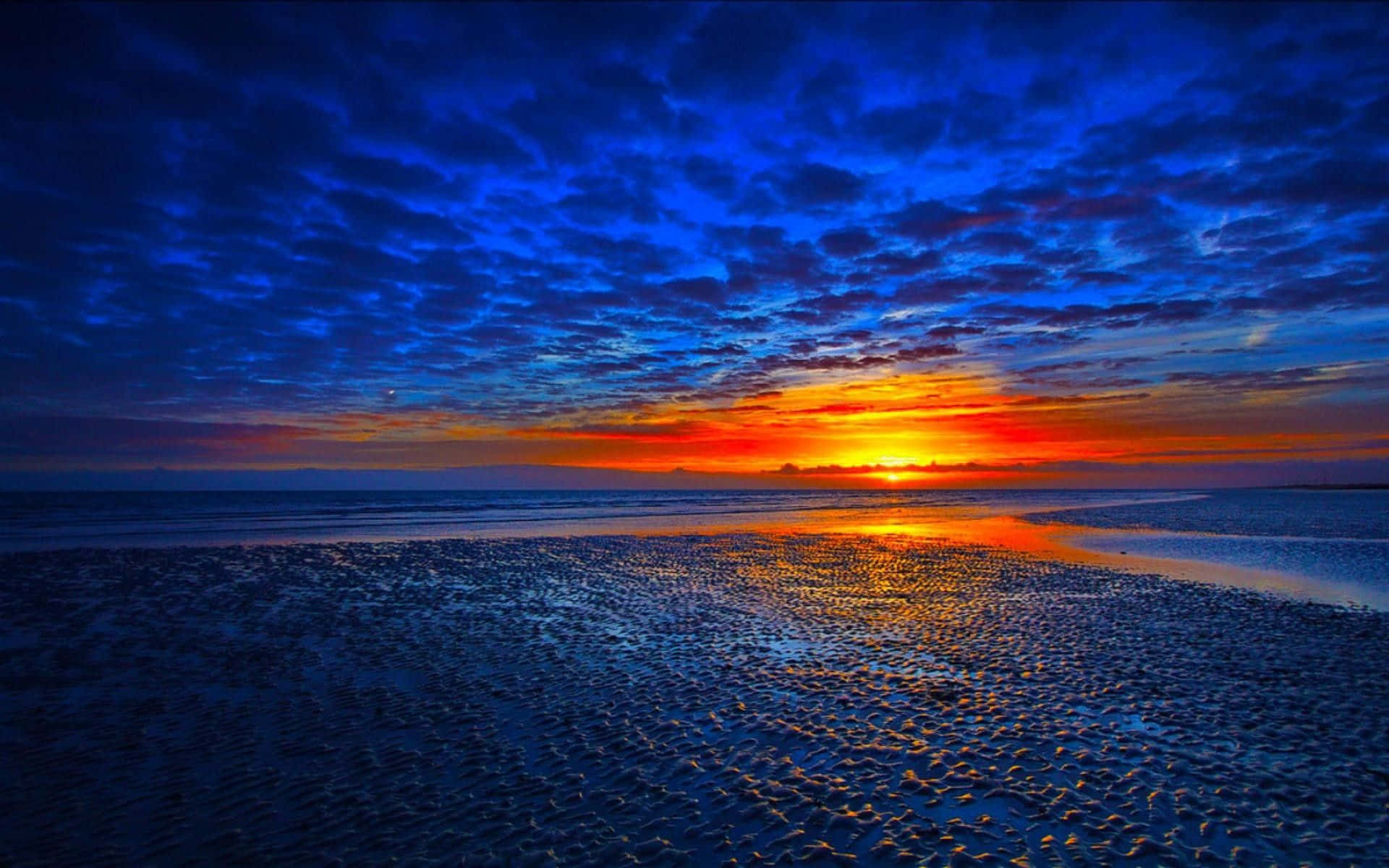 Beach Background