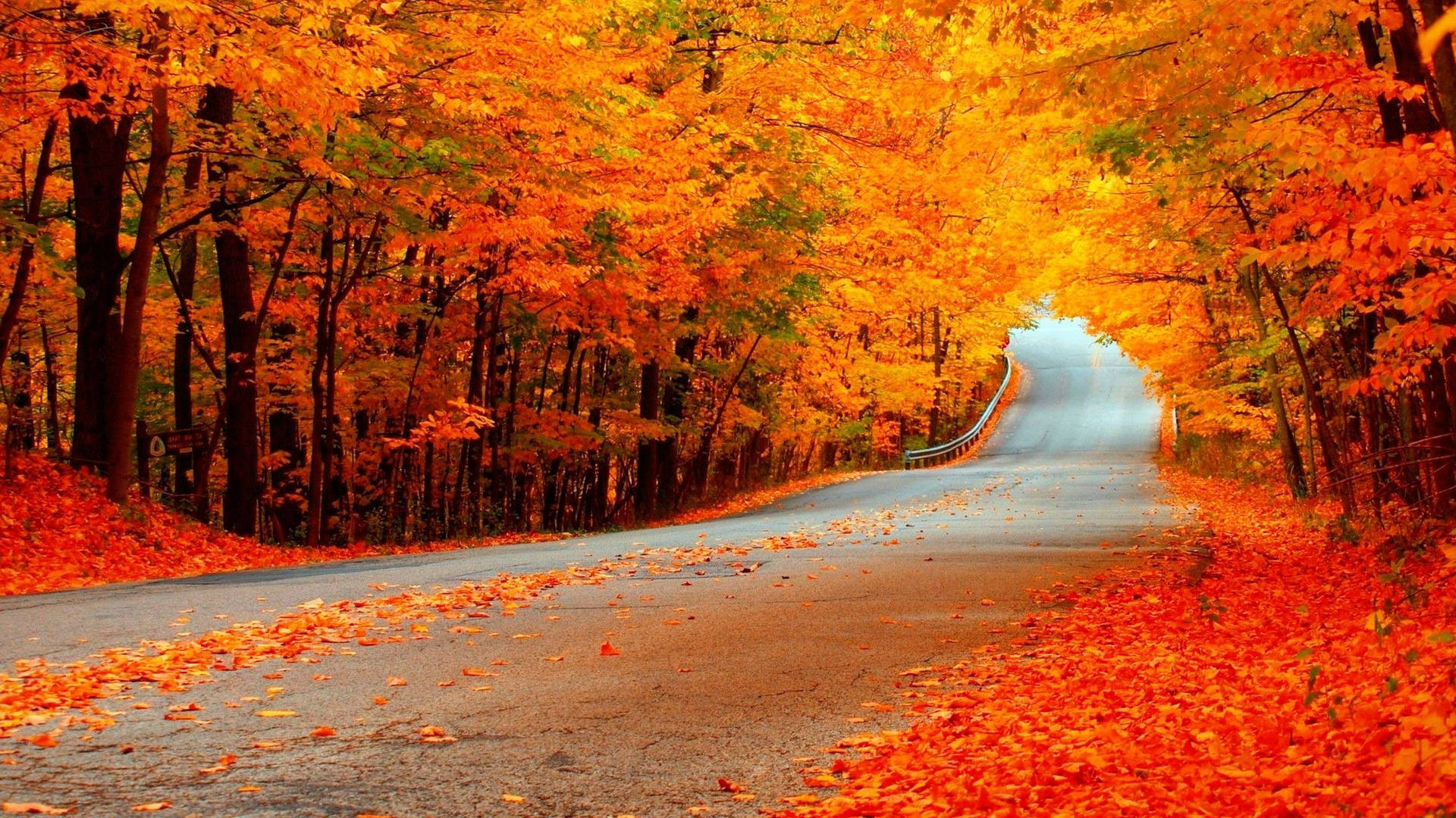 Fall Wallpapers