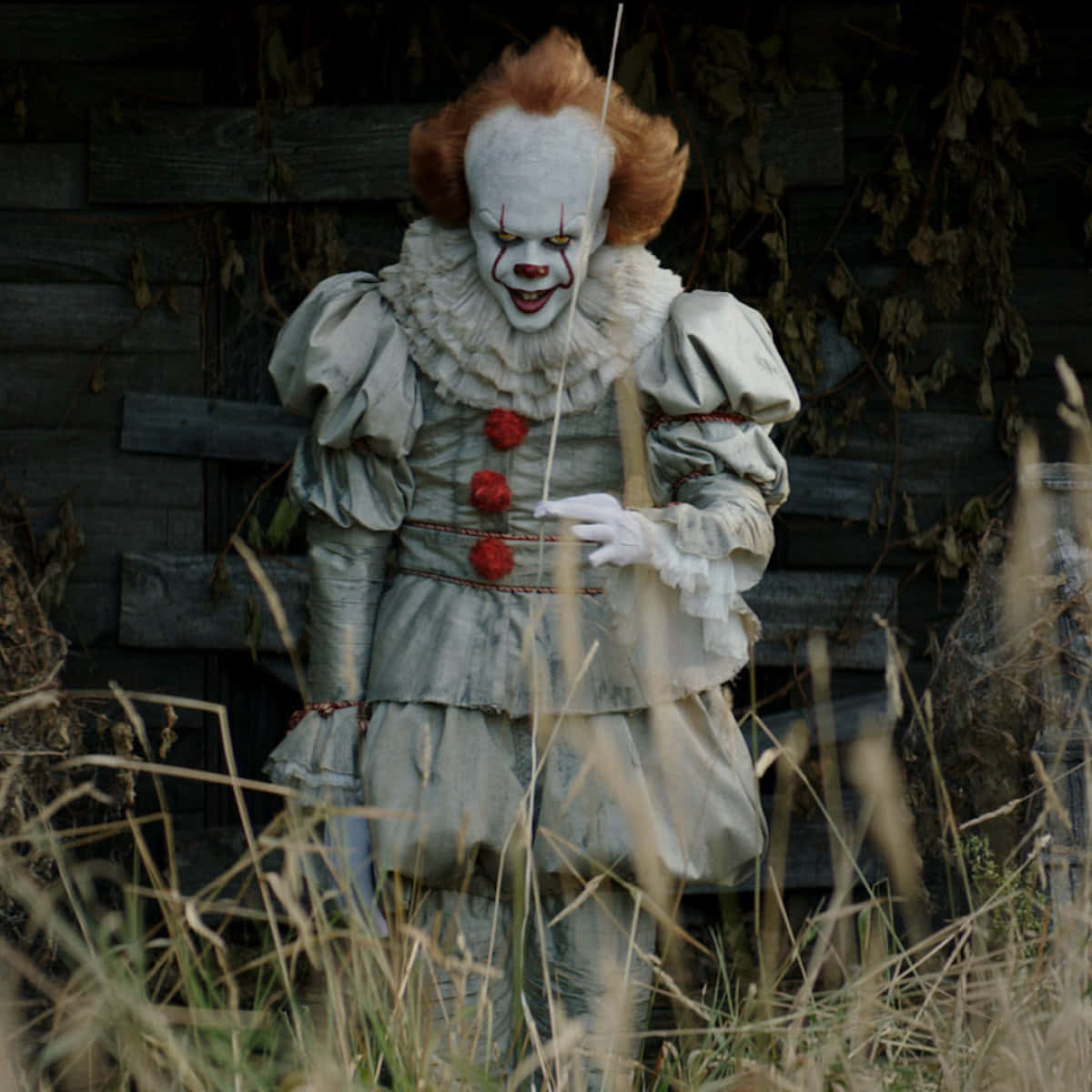 Halloween Pictures