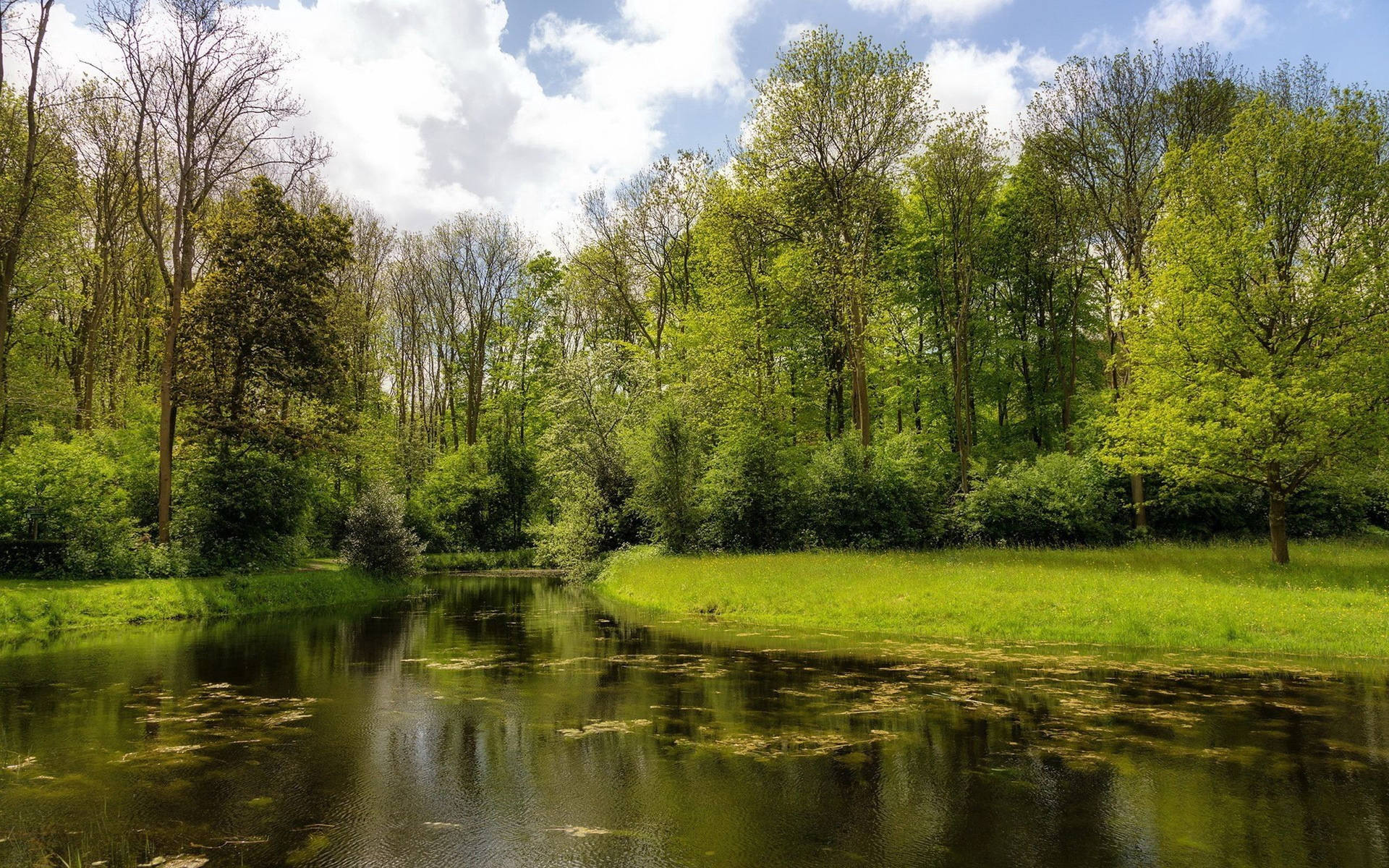 Nature Wallpapers
