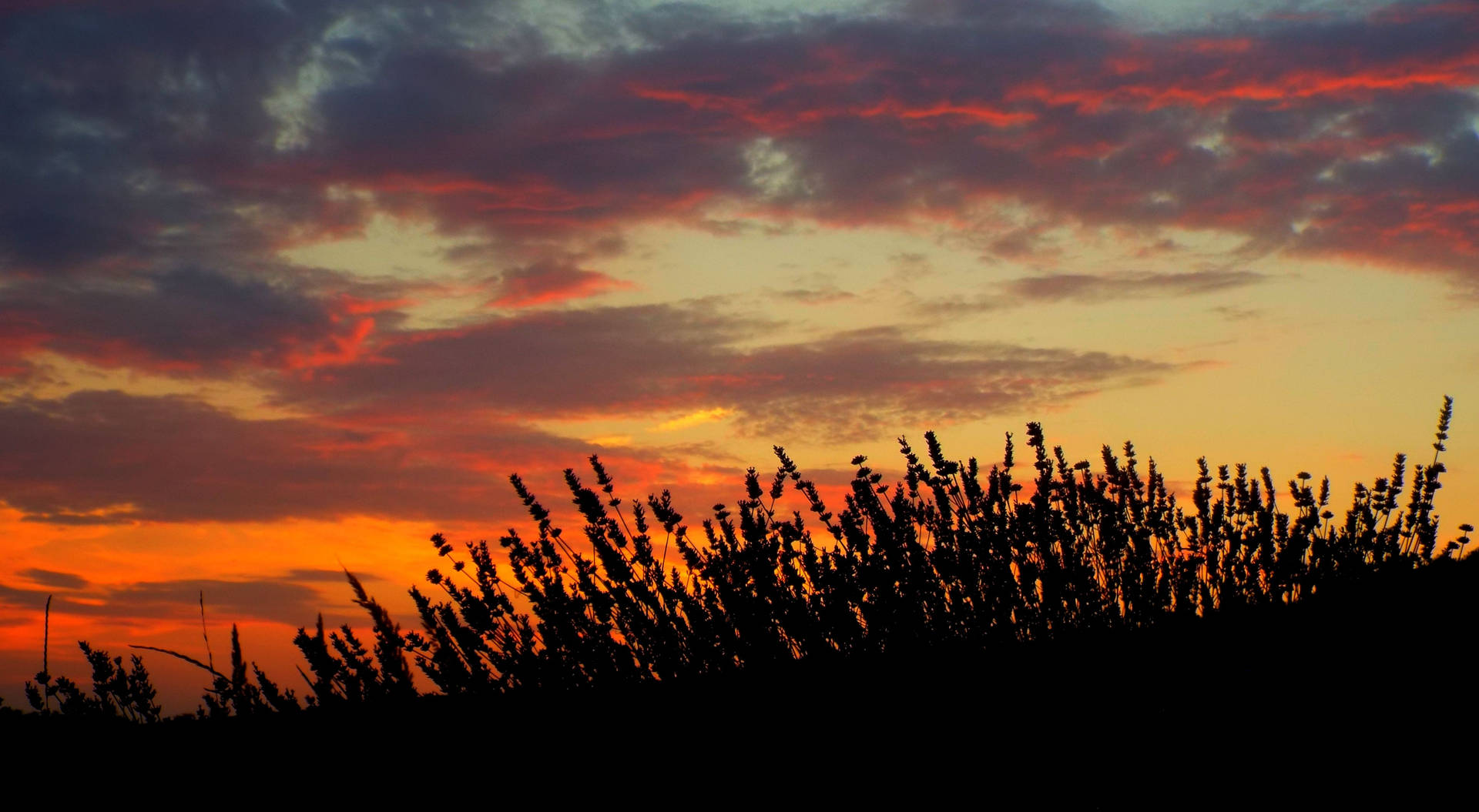 Sunset Wallpapers