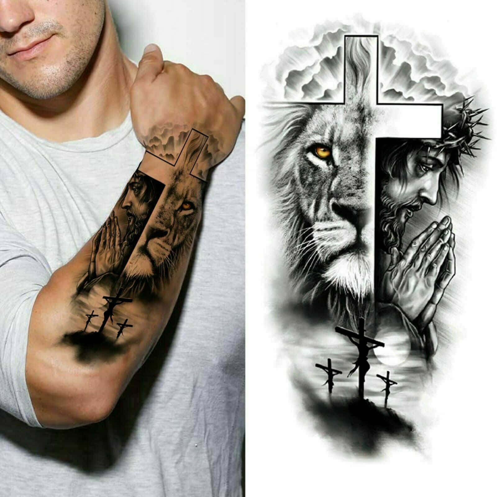 Lion Pictures