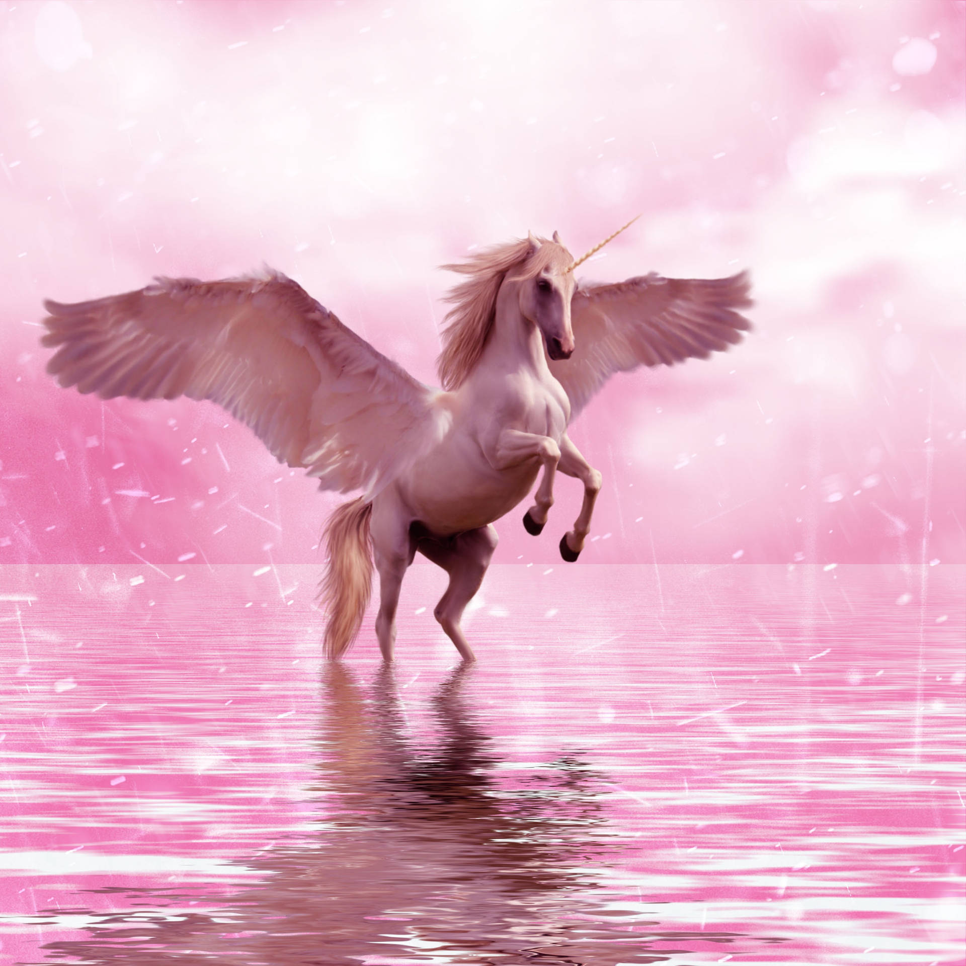Unicorn Wallpapers