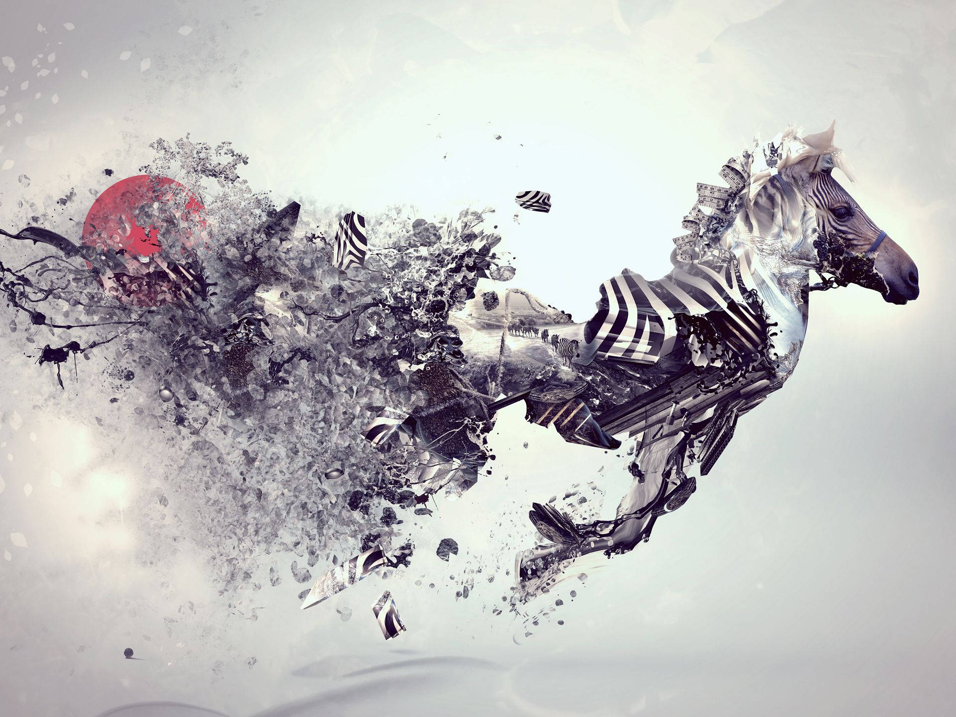 Zebra Animal Art Wallpaper